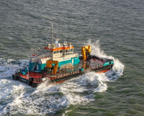 Coastal Crown_Acta Marine