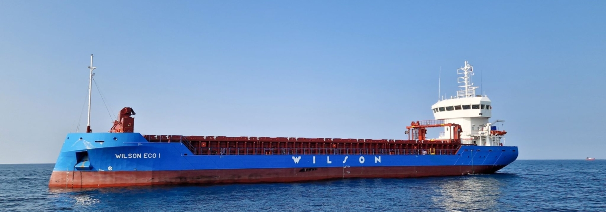 Wilson ECO I - CIP3800 vessel