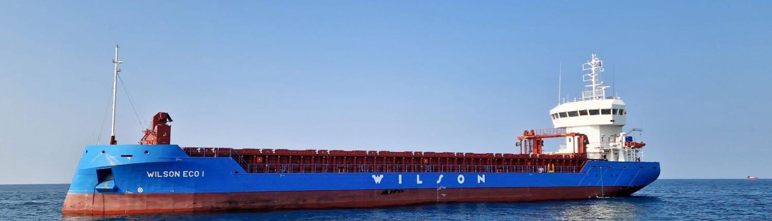Wilson ECO I - CIP3800 vessel