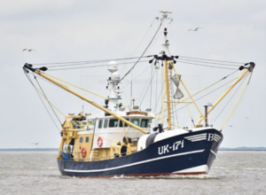 Beam Trawler