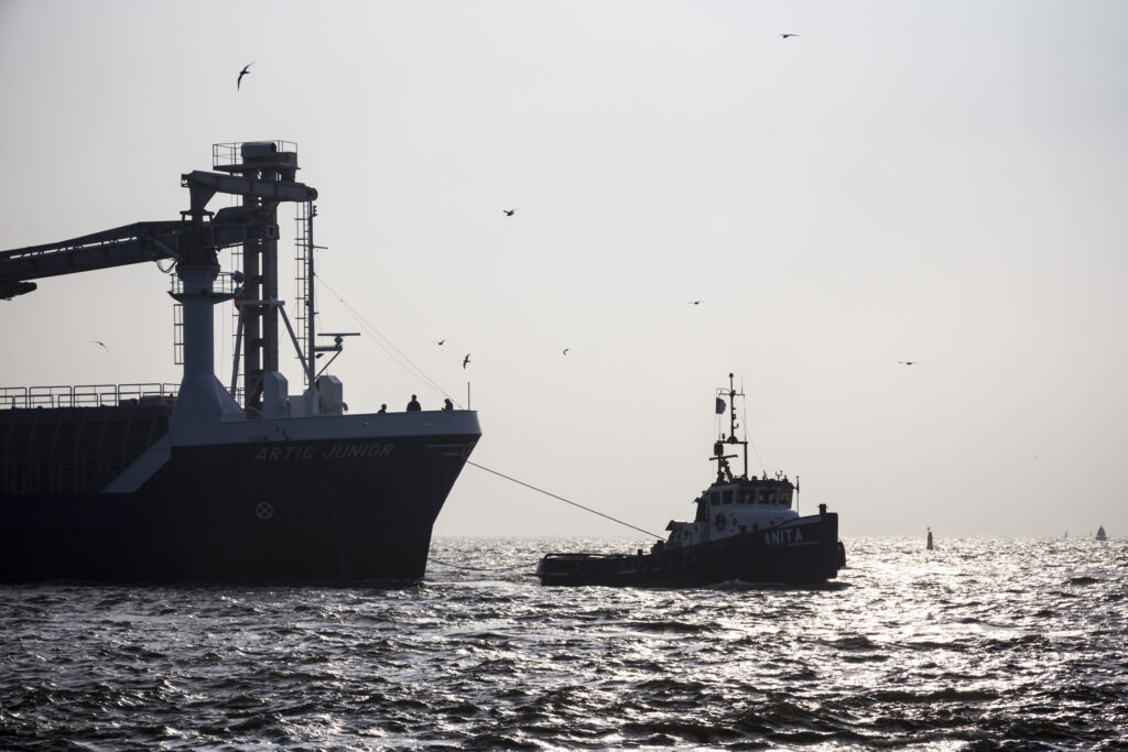Artic Junior Harlingen
